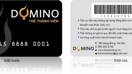 thẻ thành viên domino